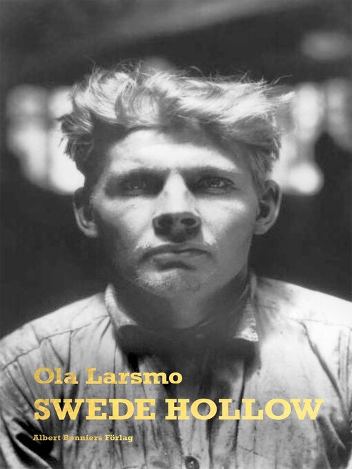Cover image for Swede Hollow